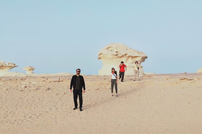 2-Day Shared Tour in White Desert From Cairo - Itinerary Highlights