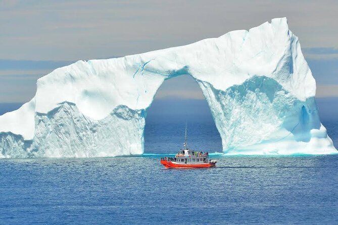 2 Hour Boat Tour in Twillingate - Vessel Overview