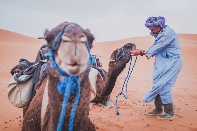 3 Day to Sahara Desert Trip From/To Marrakech - Inclusions