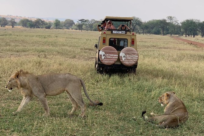 3 Days Tanzania Safari - Inclusions