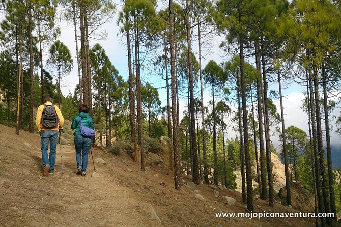 3-Hour Hiking Experience in Roque Nublo - Meeting and Pickup Details