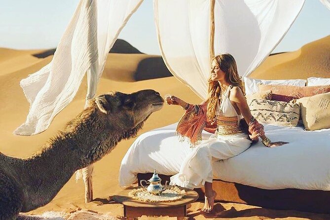 4 Day Morocco Desert Tour From Marrakech to Fes - Pickup Information