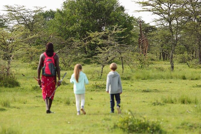 4 Days Lodge Safari Tarangire , Ngorongoro Crater & Walking - Wildlife Opportunities