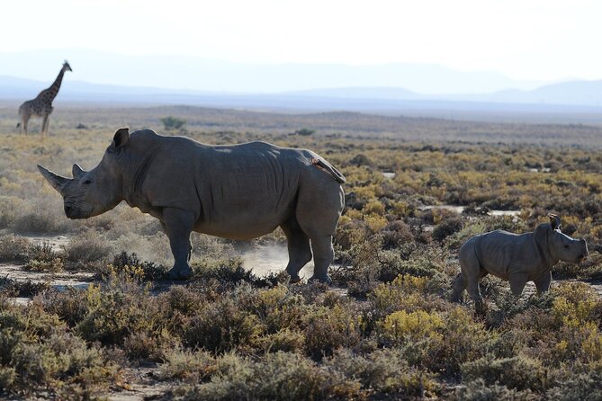 4 Days Safari Northern Circuit to Maasai Boma From Arusha - Inclusions