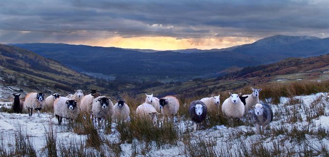 4 Hour Private Lake District Tour (Tour A) - Meeting and Drop-off