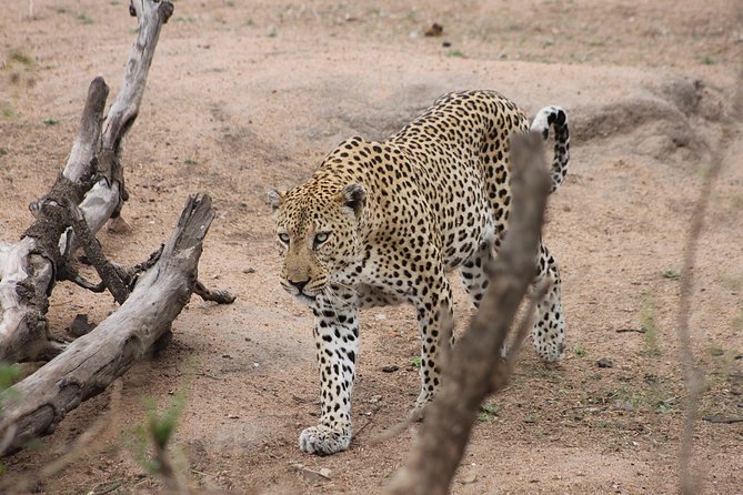 5 Day Kruger National Park Tour - Pickup and Meeting Details