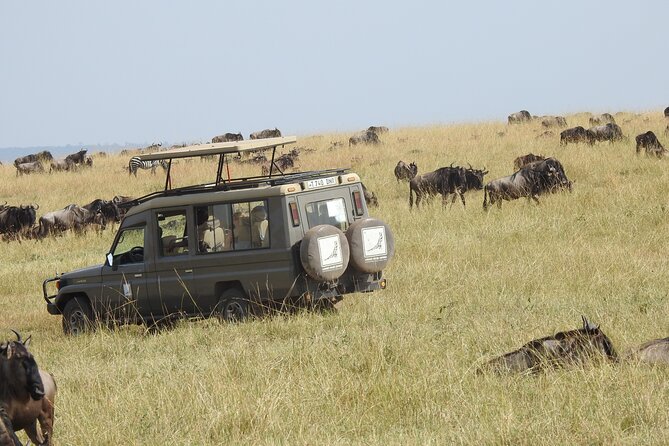 5-Days Lake Manyara, Serengeti, Ngorongoro Crater and Tarangire - Included Experiences