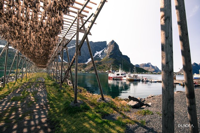 5 Highlights Of Lofoten From Svolvær - Photography Opportunities