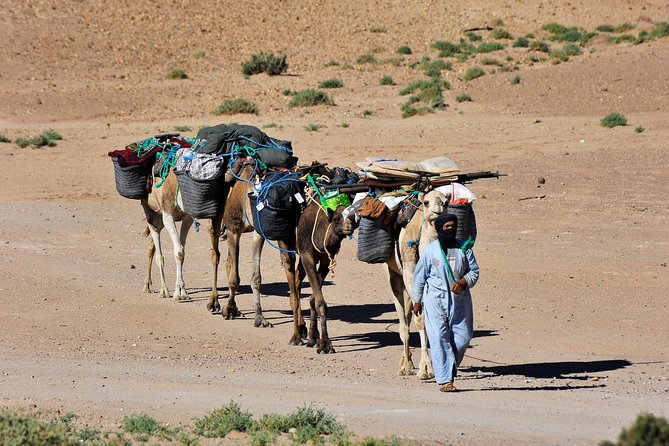 6 Days Trekking to the Heart of Desert - Meeting and Pickup