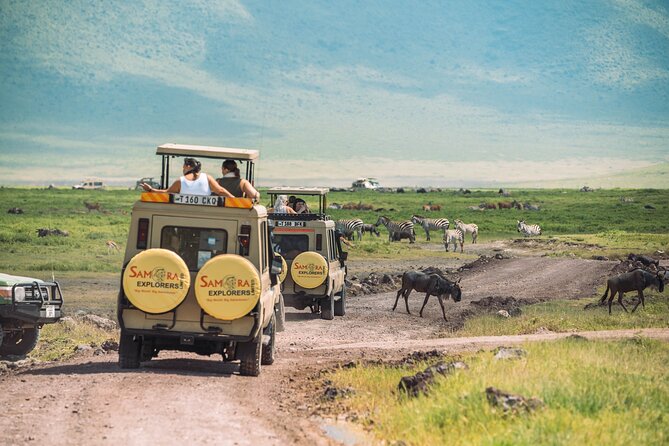 6-DayThe Best of Northern Tanzania Safari - Transportation and Pickup