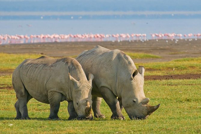 7 Day Masaai Mara, Lake Nakuru, Lake Naivasha / Hells Gate and Amboseli Safari - Accommodation and Meals