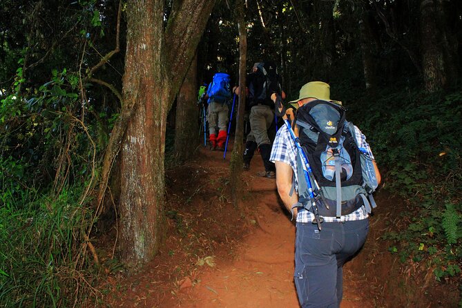 8 Days Mountain Kilimanjaro Lemosho Route - Hiking Experience Levels