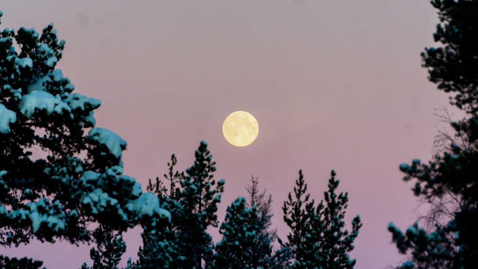 Abisko: Guided Sunrise Morning Hike With Hot Chocolate - Highlights of the Hike