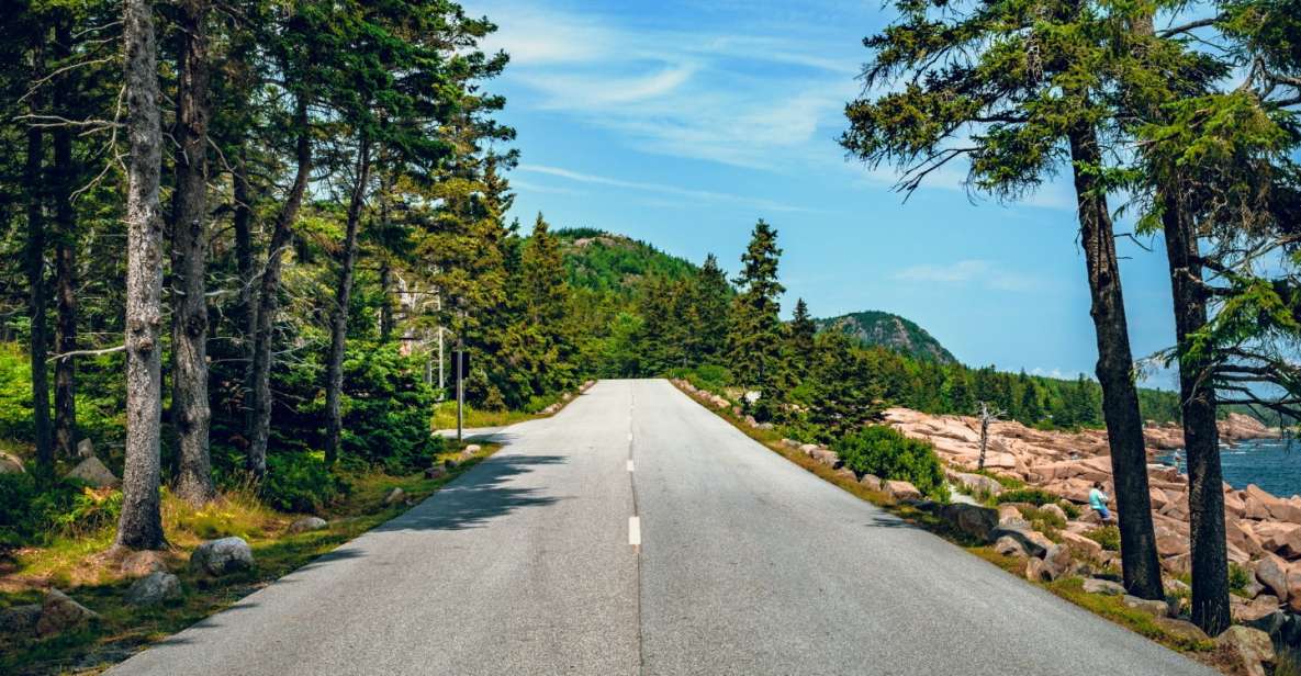 Acadia NP & Bar Harbor Self-Guided Driving and Walking Tour - Experience and Itinerary