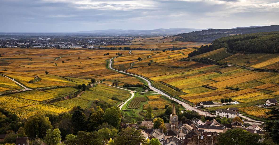 Afternoon in the Côte De Nuits (Small Group) - Pinot Noir Aromas and Tasting