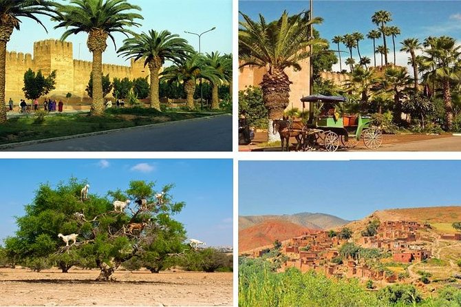 Agadir Morocco: Day Trip to Taroudant & Tiout Oasis With Lunch - Berber Carpets and Silverworks