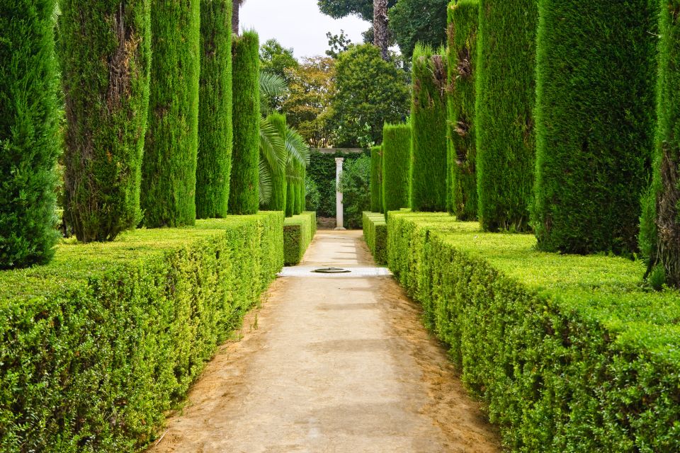 Alcazar of Seville VIP Tour - Experience Highlights