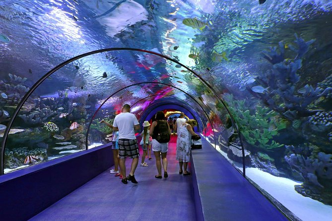 Aquarium & Face2face Wax Museum From Antalya - Hotel Transfers and Pickup