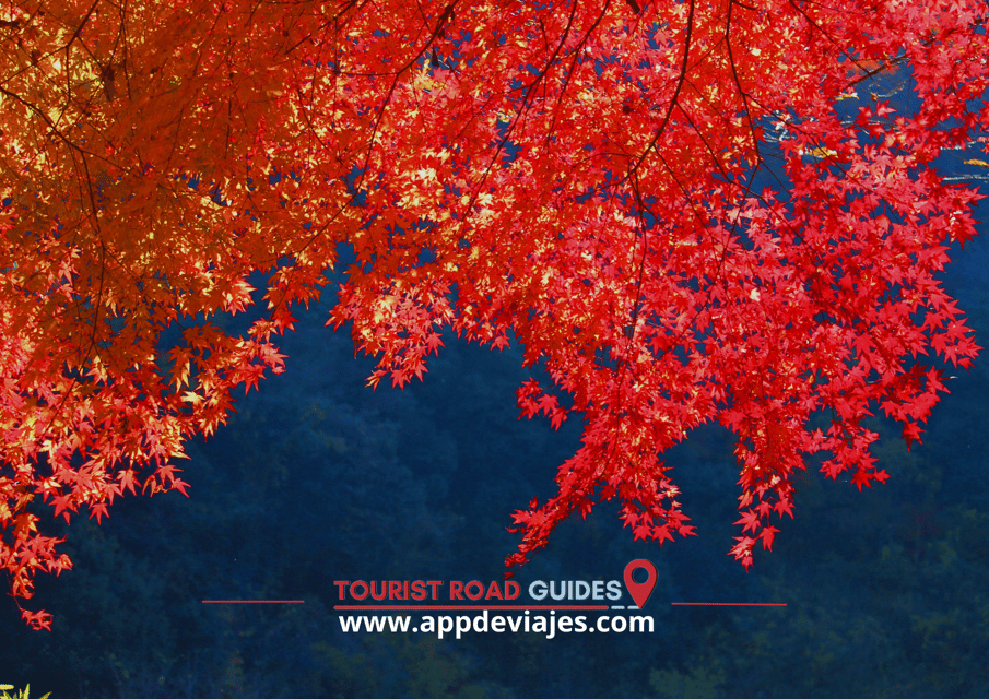 Arashiyama Self Guided Tour App Multilingual Audio Guide - Route and Experience