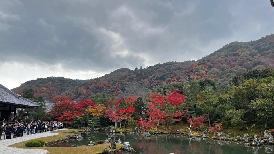 Arashiyama/Tenryu-Ji Tour: Harmony of Nature,Art &Garden - Seasonal Beauty