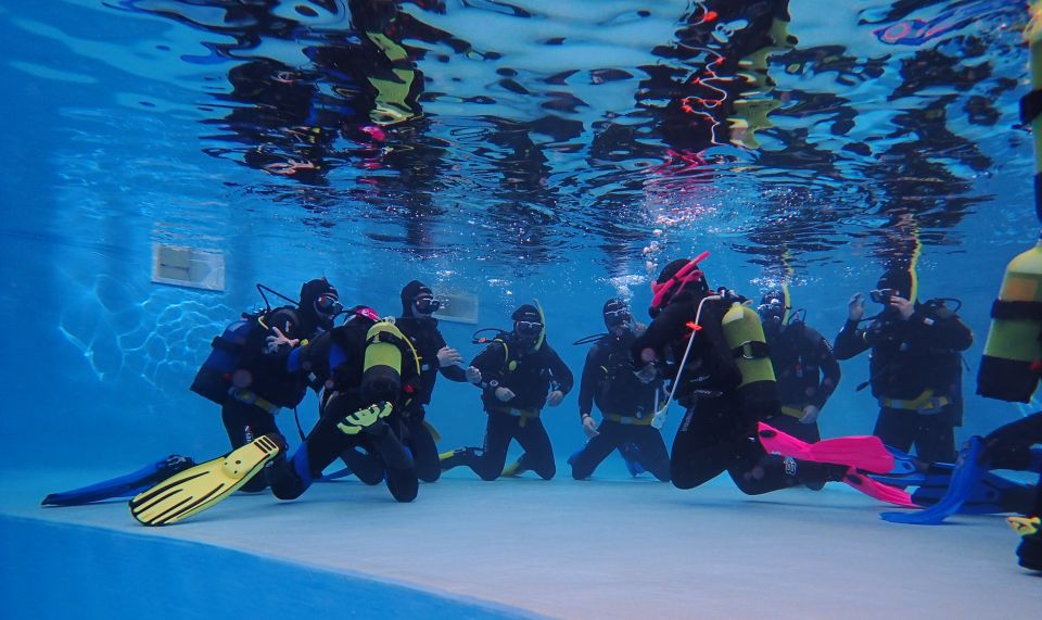 Arrábida: Open Water Diver Course in Arrábida Marine Reserve - Curriculum Overview