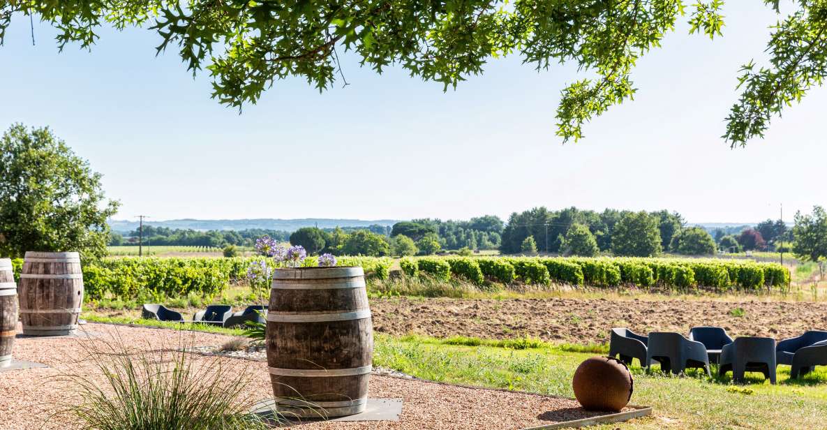 At the Gates of Toulouse: From the Vine to the Cellar - Tour Highlights