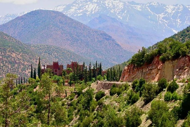 Atlas Mountains and 4 Valleys, Lunch With Local Berbers - Inclusions