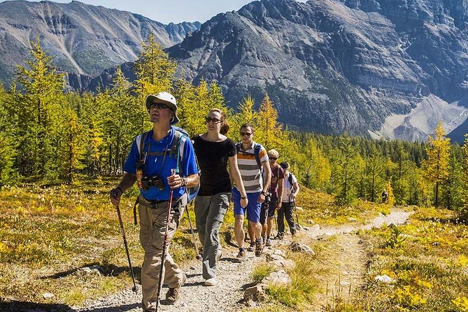 Banff National Park Guided Hike With Lunch - Hiking Trail Options