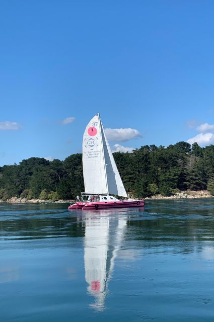 Bay of Quiberon or Morbihan Gulf: 2-Hour Evening Navigation - Departure and Return Times