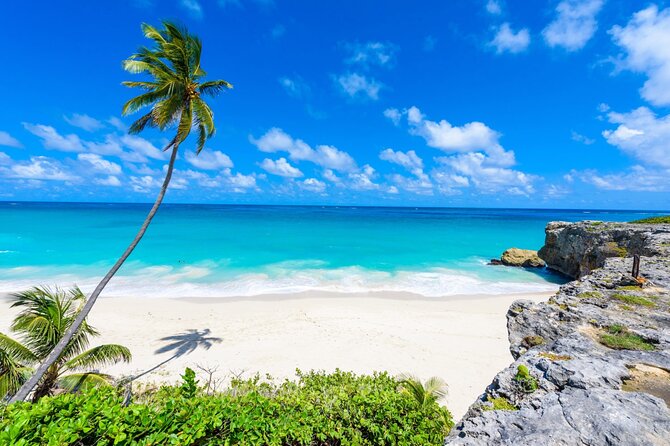 Beautiful Coastal Sightseeing Tour of Barbados - Dining at the Animal Flower Cave Restaurant