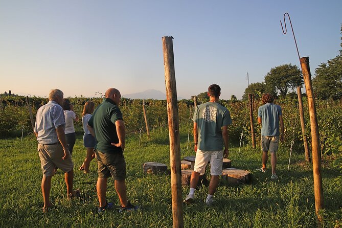 Beekeeping Farm Tour and Tasting Experience in Lazise - Whats Included