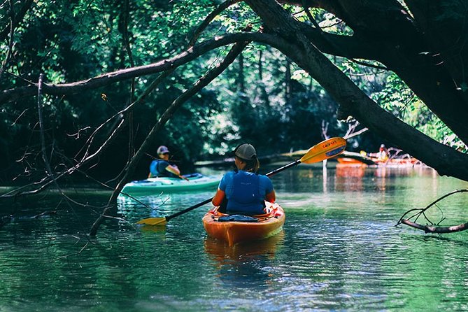 Big Creek Kayak Tour - Tour Details and Inclusions