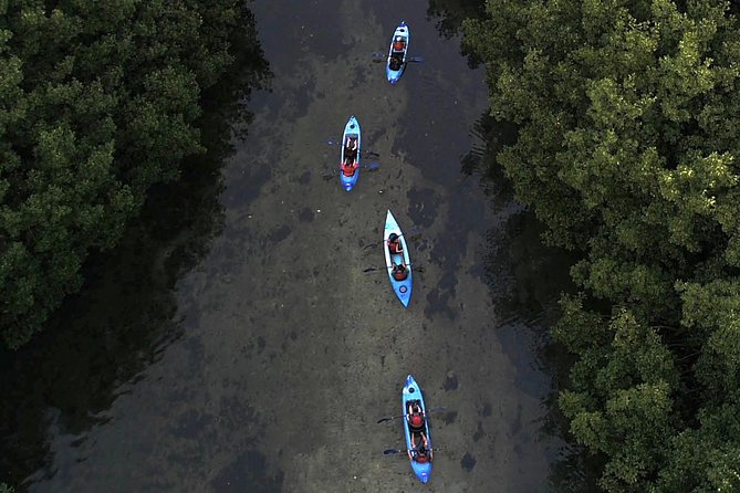 Bioluminescent Bay Kayak Adventure From San Juan - Complimentary Pickup and Drop-off