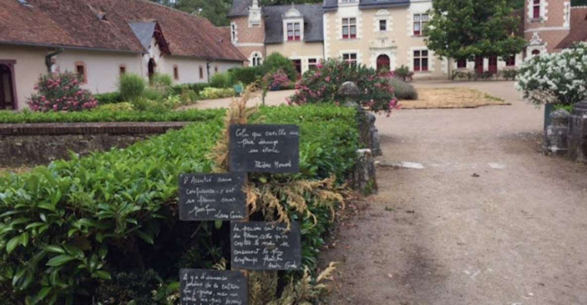 Blois: Exclusive Wine Tasting in Cheverny and Cour Cheverny - Grape Varieties Explored