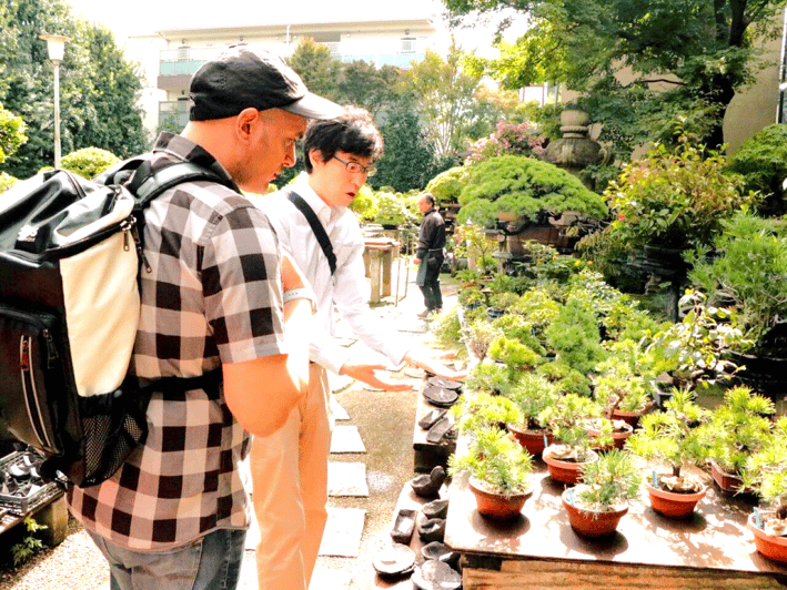 Bonsai City: Bonsai Tour & Experience at Bonsai Sanctuary - Bonsai City Significance