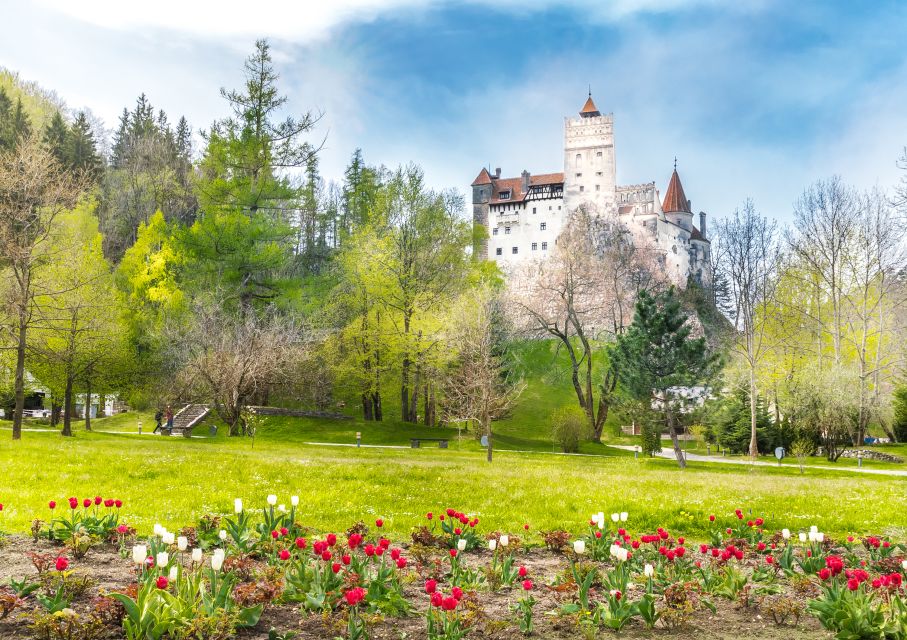 Bucharest: Dracula Castle, Peles Castle & Brasov Guided Tour - Itinerary Highlights