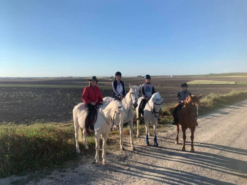 Cádiz Country Side: Ride an Andalusian Horse - Customer Feedback and Recommendation