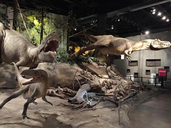 Calgary to Royal Tyrrell Museum | Drumheller – PRIVATE TOUR - Highlights of the Tour