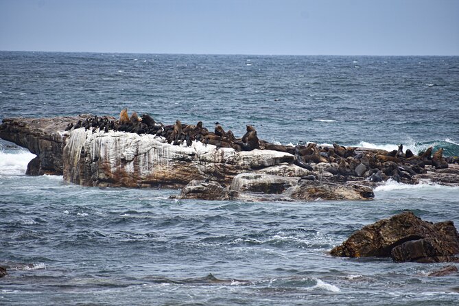 Cape of Good Hope & Boulder Penguins Full-Day Tour From Cape Town - Inclusions and Exclusions