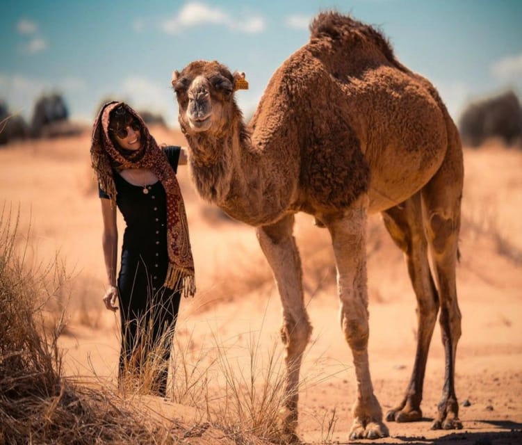 Cappadocia: Camel Safari With Transfer - Inclusions and Highlights