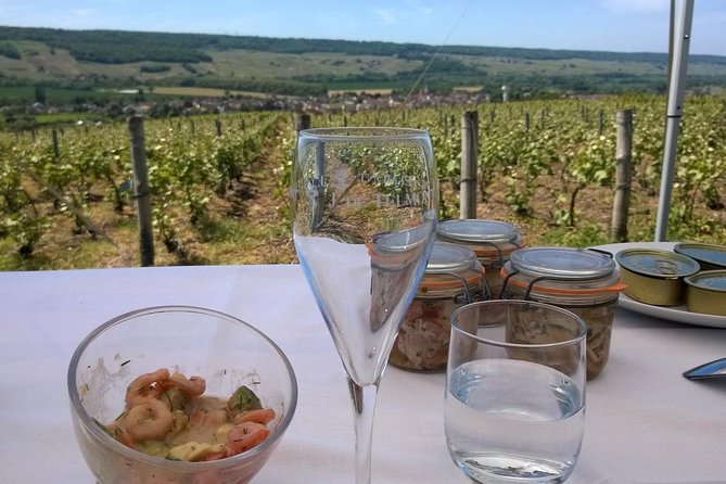 Champagne Moet and Chandon Private Tour With Tastings From Reims or Epernay - Inclusions