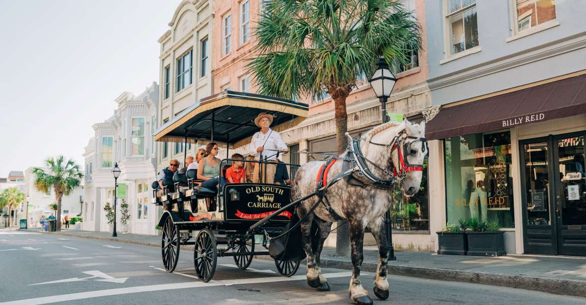 Charleston: Historical Downtown Tour by Horse-drawn Carriage - Tour Experience