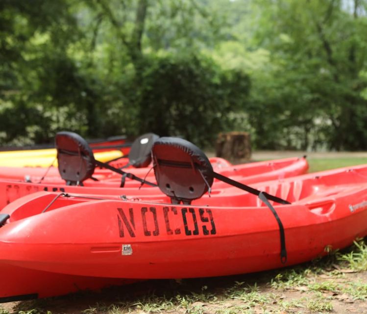 Chattahoochee Roswell: Single Kayak Rental - Pricing and Booking