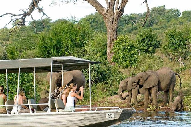 Chobe Full Day Trip - Visa Requirements