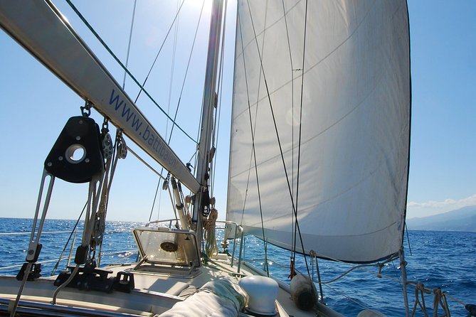 Cinque Terre Sailing Day Trip From La Spezia - Whats Included in the Tour