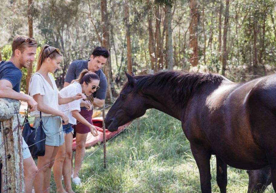 City of Side: Horseback Riding Experience With Instructor - Riding Along the Pristine Shores