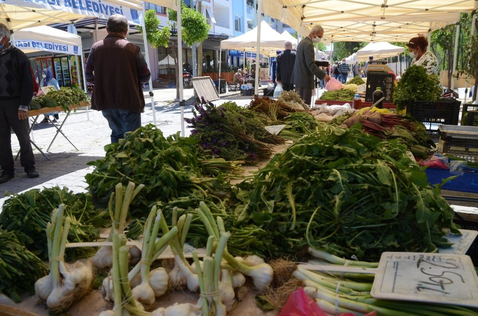 Cooking Class in Selcuk ( Ephesus) and Market Exploration - Highlights of the Experience