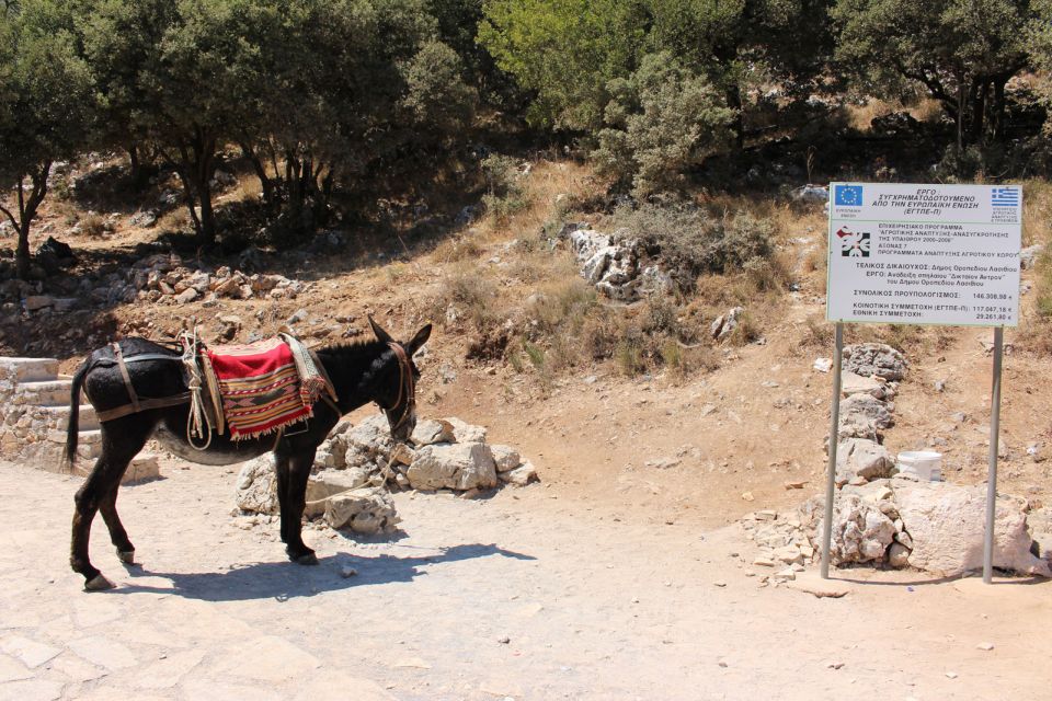 Crete: Land Rover Safari Through the Plateaus - Pricing and Duration