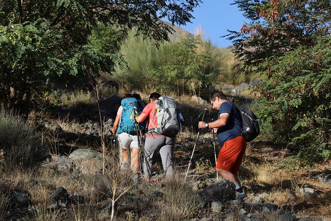 Day Excursion in the Atlas Mountains - Breathtaking Mountain Vistas