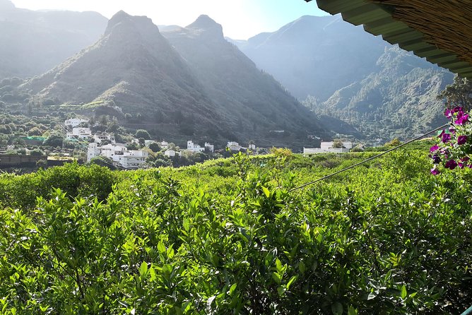 Day Tour in North of Gran Canaria With Wine Tasting - Highlights